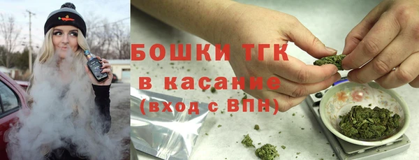 дмт Лабытнанги