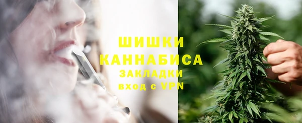 дмт Лабытнанги