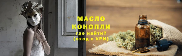 дмт Лабытнанги