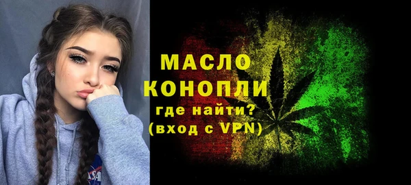 дмт Лабытнанги