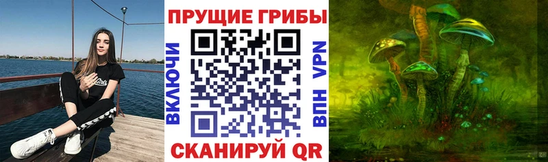 Галлюциногенные грибы Psilocybe  Купить где  Аргун 